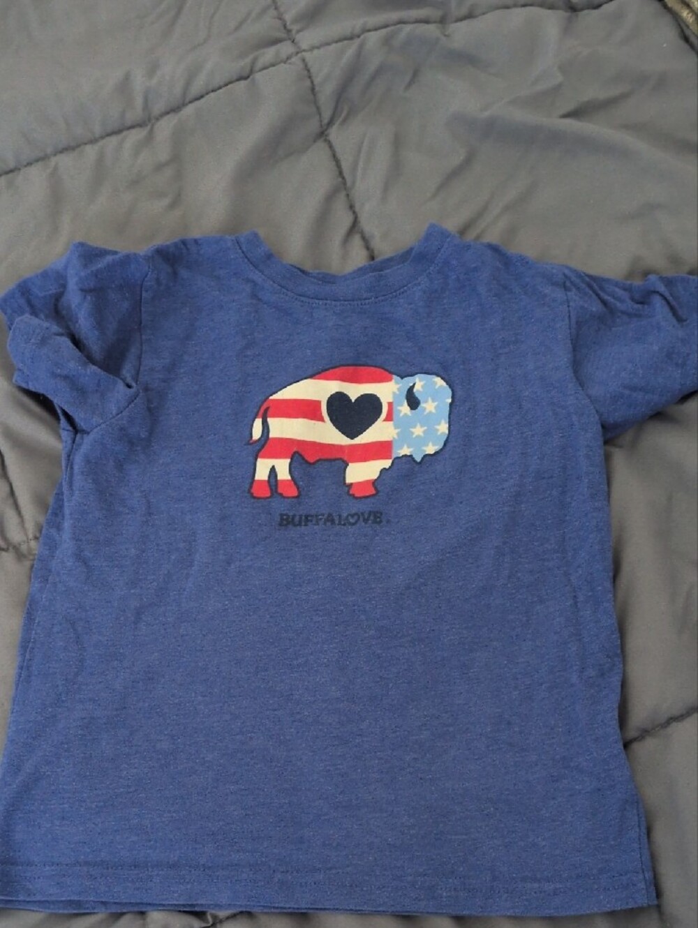 Blue Kids' Short-Sleeve Tee with Patriotic Buffalo Graphic